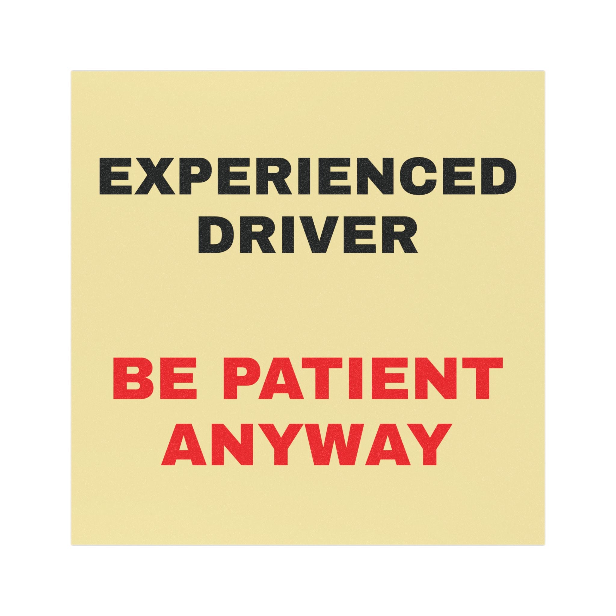Car Magnet — "Experienced Driver, Be Patient Anyway" Funny Road Sign Magnet